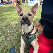 Thumbnail photo of Egbert #1