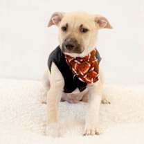 Thumbnail photo of Egbert #3