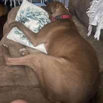 Thumbnail photo of Nico #4