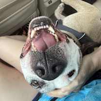 Thumbnail photo of Barry #3