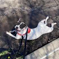 Thumbnail photo of Connor #2