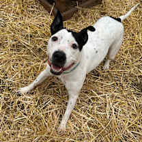 Thumbnail photo of Esmeralda #2