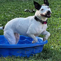 Thumbnail photo of Esmeralda #3