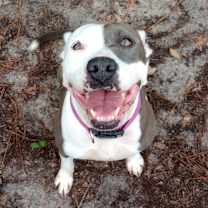 Thumbnail photo of Nani #2