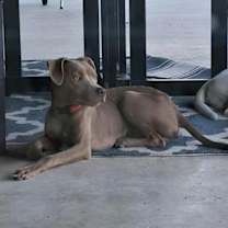 Thumbnail photo of Peanut aka Little Boy #2