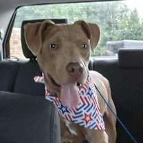 Thumbnail photo of Peanut aka Little Boy #4