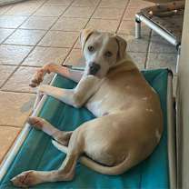 Thumbnail photo of Luke AG #3