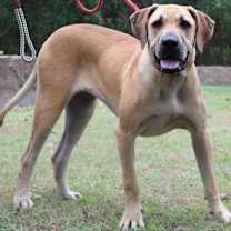 Thumbnail photo of Meredith #3