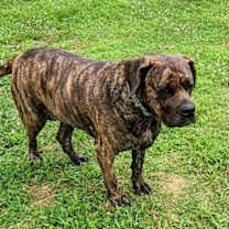 Thumbnail photo of Princess #1