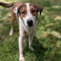 Thumbnail photo of Kemar #2