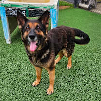 Thumbnail photo of Max #2