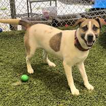 Thumbnail photo of Missy #4