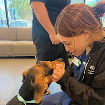 Thumbnail photo of Snoopy #2