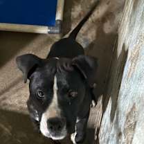 Thumbnail photo of ThunderStorm #2