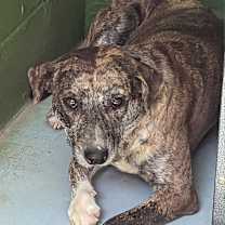 Thumbnail photo of Mae #2