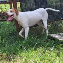 Thumbnail photo of Blakely #2