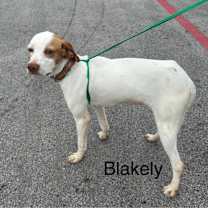 Thumbnail photo of Blakely #3