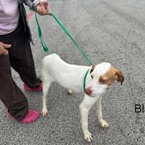 Thumbnail photo of Blakely #4