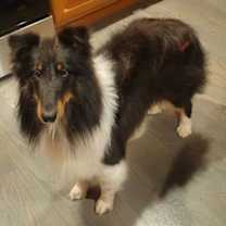 Thumbnail photo of WATSON #1