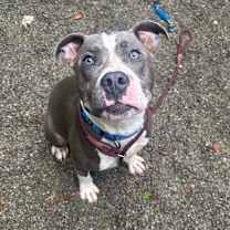 Thumbnail photo of Lucky #1