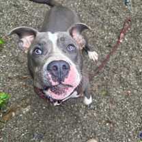 Thumbnail photo of Lucky #4