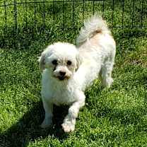 Thumbnail photo of Elias #2