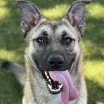 Thumbnail photo of Wrenley #3