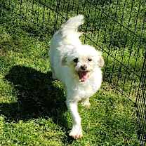 Thumbnail photo of Elias #1