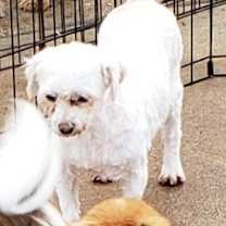 Thumbnail photo of Elias #3