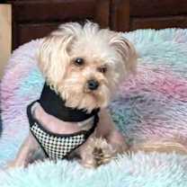 Thumbnail photo of TEDDY #1