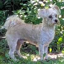 Thumbnail photo of TEDDY #2