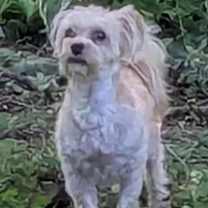 Thumbnail photo of TEDDY #3