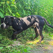 Thumbnail photo of Mac #3