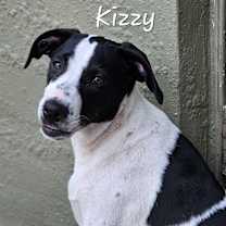 Thumbnail photo of Kizzy #1