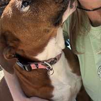 Thumbnail photo of Micky #4