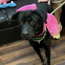 Thumbnail photo of Hannah! #1