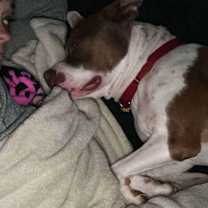 Thumbnail photo of Leo #2