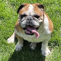 Thumbnail photo of Donut #4