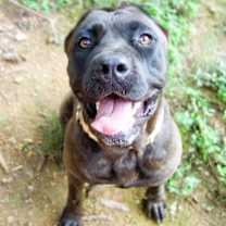 Thumbnail photo of Dorothy #4