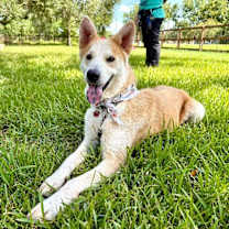 Thumbnail photo of Destiny Daisy Loves to Snuggle #2