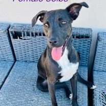 Thumbnail photo of Traci #1