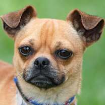 Thumbnail photo of Portland #1