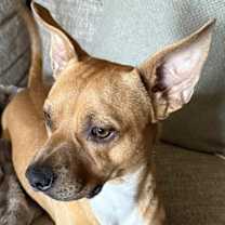 Thumbnail photo of Jimmy #3