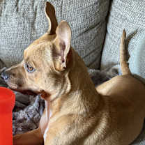 Thumbnail photo of Jimmy #4