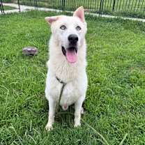 Thumbnail photo of Sailor #3