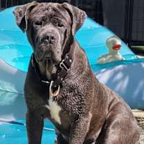 Thumbnail photo of ZEUS #4