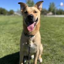 Thumbnail photo of Java #1