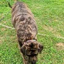 Thumbnail photo of Princess #2