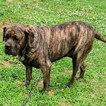 Thumbnail photo of Princess #3