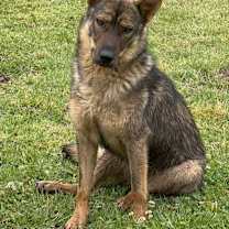 Thumbnail photo of Meadow #1